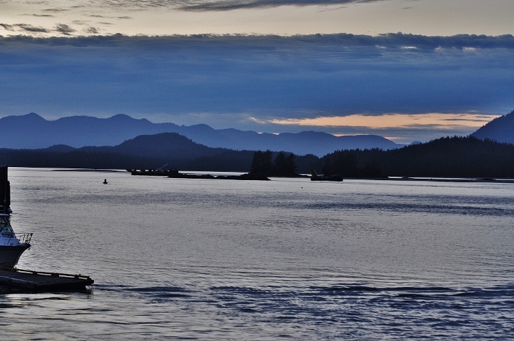 looking out over Tofino Inlet